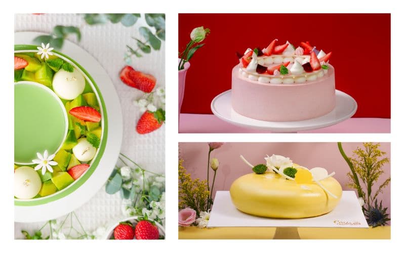 Kiểu bánh sinh nhật đơn giản đẹp hiện nay cho tiệc thân mật