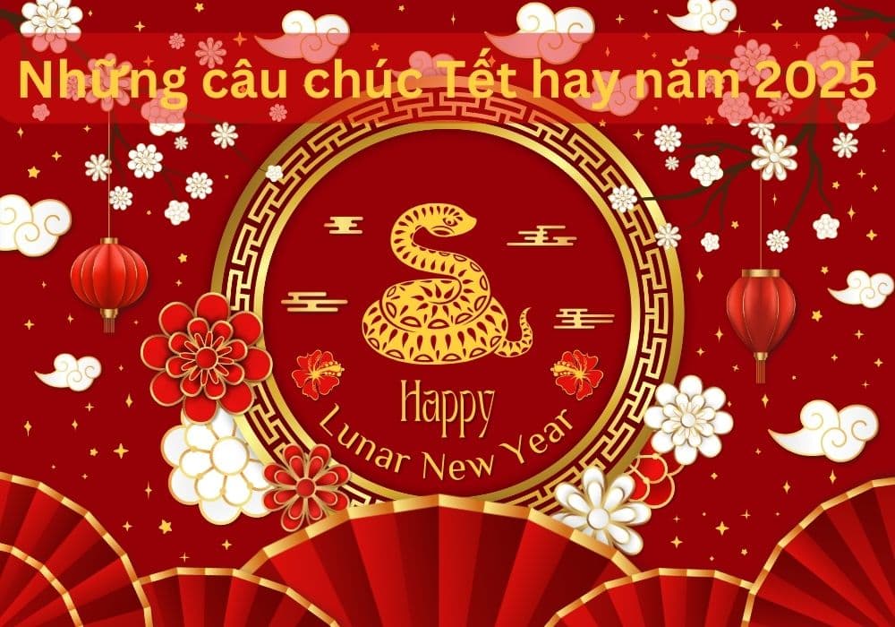 Tổng hợp 100 câu chúc Tết hay ngắn gọn nhân dịp Tết Ất Tỵ 2025